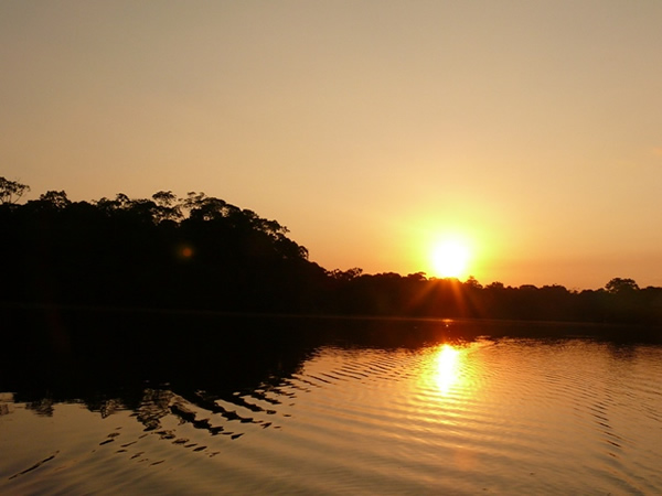 Ecuador Amazon Jungle Expeditions